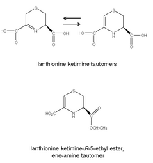 Lanthionine ketimine (3,4-dihydro-2H-1,3-thiazine-3,5-dicarboxylic acid)