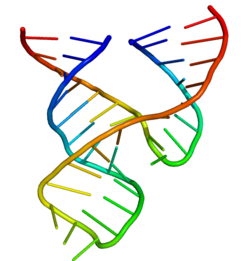 Minimal hammerhead ribozyme structure.png