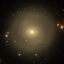 NGC2681 - SDSS DR14.jpg