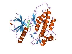 PDB 1u59 EBI.jpg