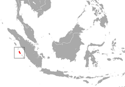 Siberut Macaque area.png
