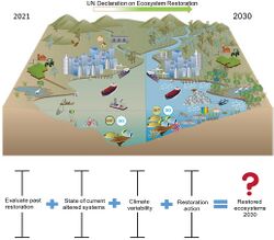 UN Decade on Ecosystem Restoration 2021 to 2030 – coastal ecosystems.jpg