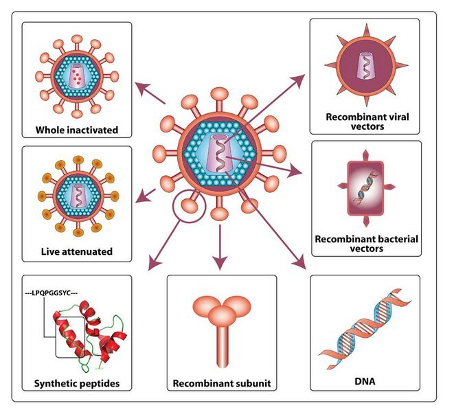 File:Various approaches for HIV vaccine development.jpg
