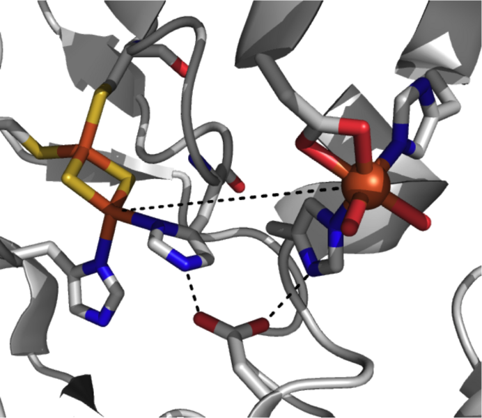 File:2B1X Active Site.png