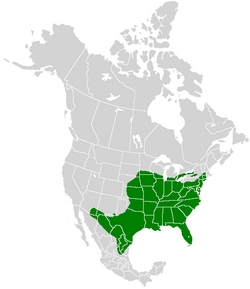 Asterocampa clyton range map.PNG