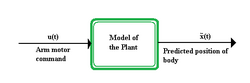 Basic Forward Model.png