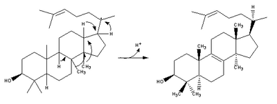 Cholesterol-Synthesis-Reaction13.png