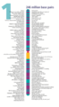 Human chromosome 01 from Gene Gateway - with label.png