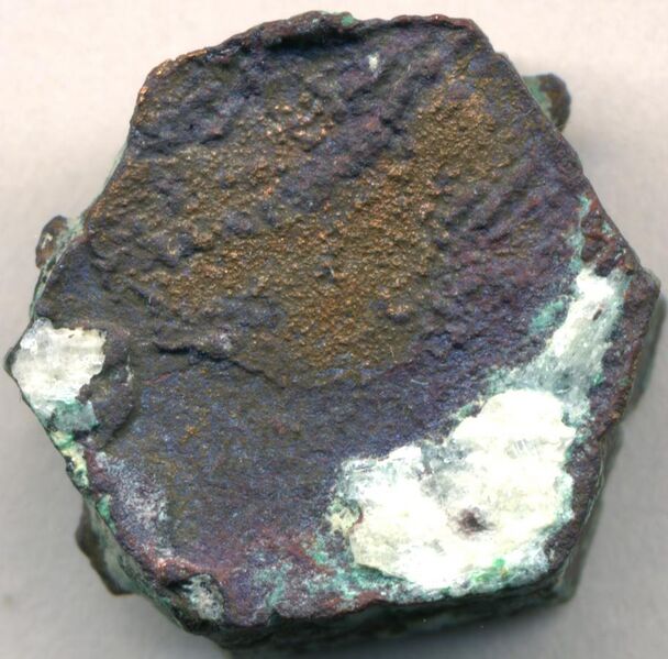 File:Native copper pseudomorph after aragonite, western Bolivia.jpg