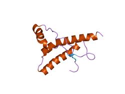 PDB 1hjm EBI.jpg