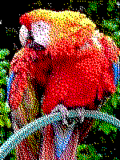 RGB 24bits palette sample image - 3-bit RGB.png