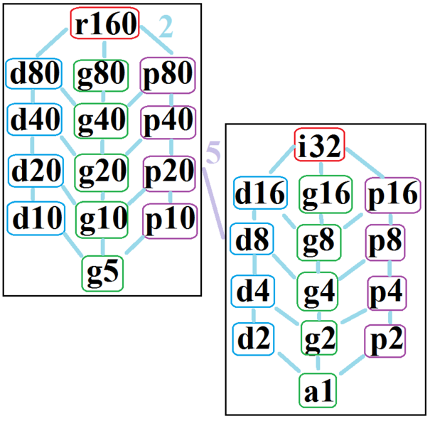 File:Symmetries of octacontagon.png