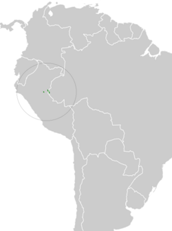 Thamnophilus divisorius map.svg