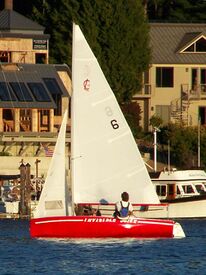 C-Lark in Gig Harbor.jpg