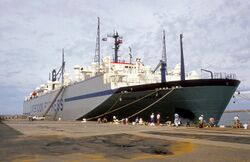 CSIRO ScienceImage 4345 Livestock transport at Port Adelaide South Australia 1995.jpg