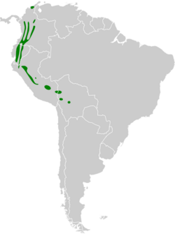 Chamaepetes goudotii map.svg
