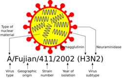 Influenza nomenclature.svg