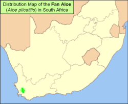 Map of Fan Aloe A plicatilis in South Africa.png