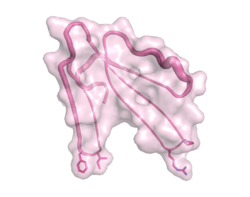 Muscarinic toxin1 4DO8.png