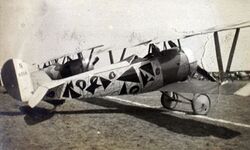 Nieuport 24 with fancy paintjob.jpg