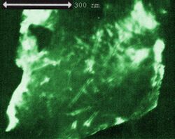 NuclearTrackPaper02chromiteA.jpg