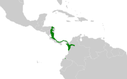 Selenidera spectabilis map.svg