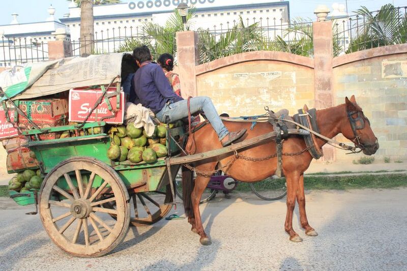 File:Tanga (carriage) at Darbhanga Bihar.jpg