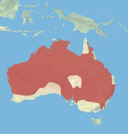 Wallaroo Range.jpg