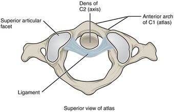 912 Atlantoaxial Joint.jpg