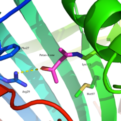 AAD active site.png