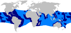 World map with large areas in the tropics of all oceans colored dark blue, and the spaces in between colored light blue to form a continuous global band