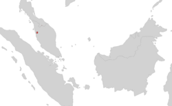 Caudacaecilia larutensis area.png