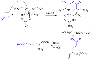 synthesis of rac-Glu