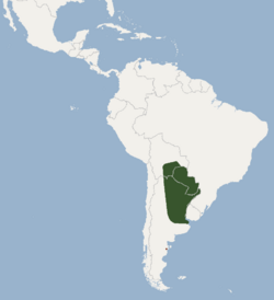 Distribution of Eumops patagonicus.png