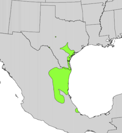 Ehretia anacua range map.png