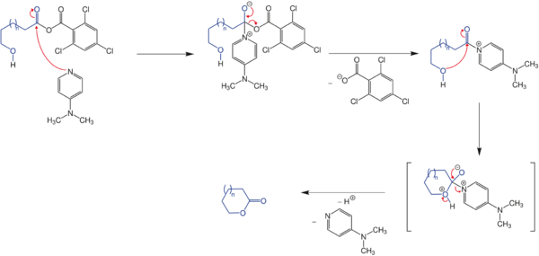 Formation macrolactone V1-Seite001.svg