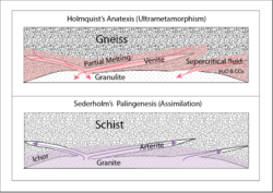 Holmquist & Sederholm interpretations of migmatite.png