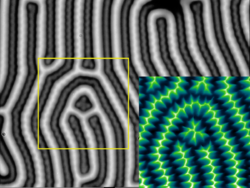 Magneto optics versus MFM.png