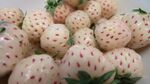 Pineberries.jpg