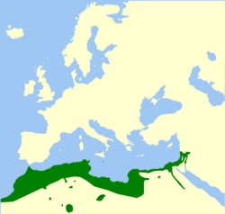 Pseudepidalea boulengeri genus range Map.png
