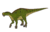 Altirhinus 01 transparent.png