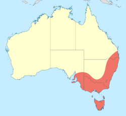 Austrogomphus guerini distribution map.svg