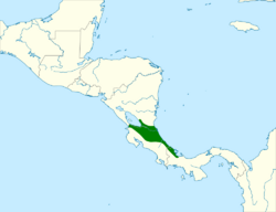 Cantorchilus zeledoni map.svg