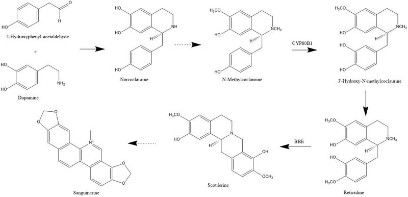 File:Chemistry of Poisons Project Pic.jpg