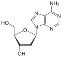 deoxyadenosine