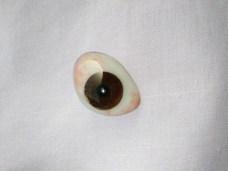 File:Eye-prosthesis-brown.jpg