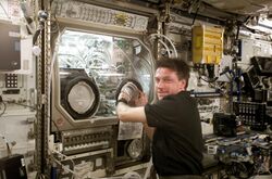 ISS-08 Michael Foale conducts an inspection of the Microgravity Science Glovebox.jpg