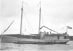 MV Eider in 1920.JPG