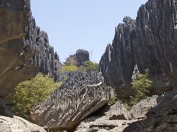 Karst topography at Tsingy de Namoroka National Park in northwestern Madagascar
