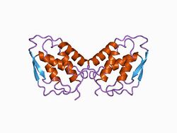 PDB 1csg EBI.jpg